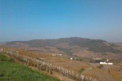 derniere-photo-port-beaujolais-001
