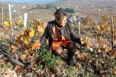 derniere-photo-port-beaujolais-008