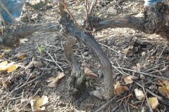 derniere-photo-port-beaujolais-015
