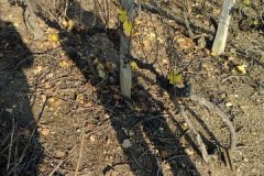 derniere-photo-port-beaujolais-031