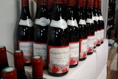 derniere-photo-port-beaujolais-040