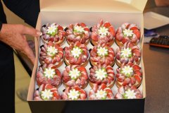 DSC_1736
